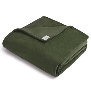 BiggerBee Throw Blanket - Giftsmiths