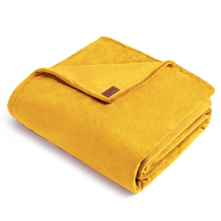 BiggerBee Throw Blanket - Giftsmiths