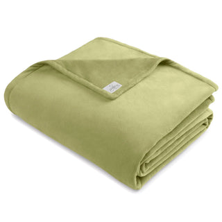 BiggerBee Throw Blanket - Giftsmiths